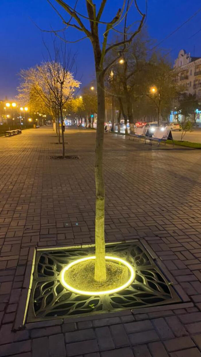 Приствольная решетка для дерева ZKING CRUST 1.2х1.2м Черная